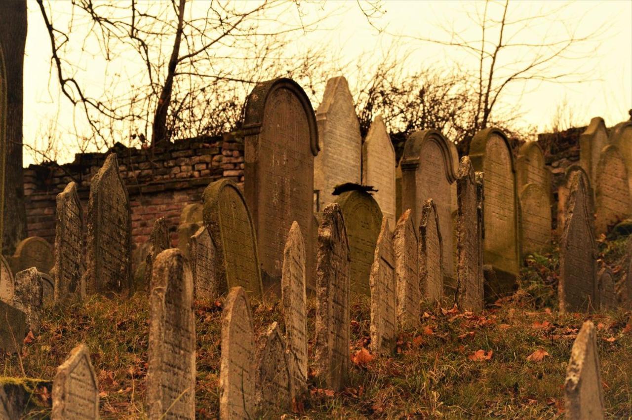 Penzion David Třešť Esterno foto